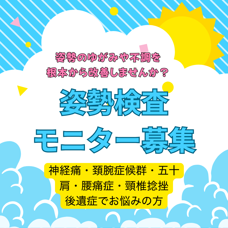 姿勢検査モニター